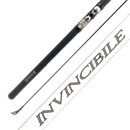 Изображение Удилище болонское Dayo Invincibile 5.0м 10-30г