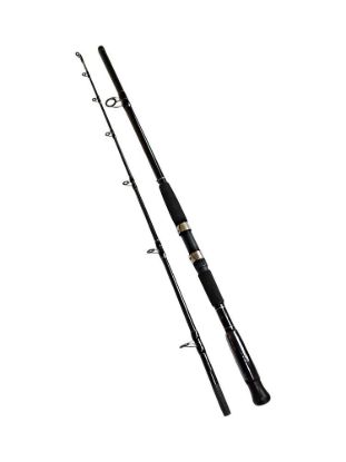 Изображение Спиннинг Kaida CatFish 2.1м 300-800г