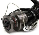 Изображение Катушка Shimano Catana C3000